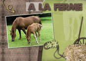 at the farm