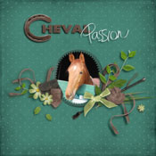 My passion