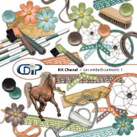 Digital kit Embellishments