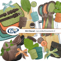 Digital kit Embellishments