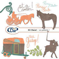 Digital kit shapes