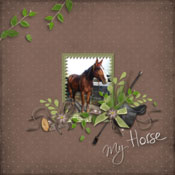 my horse