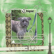 Chipie