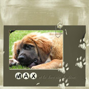 Max