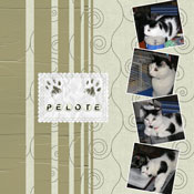 Pelote