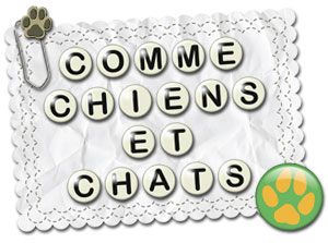 Kit 'Comme chiens et chats'