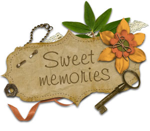 Scrapbooking Kit «Sweet Memories»