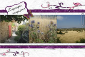 Magical landscapes