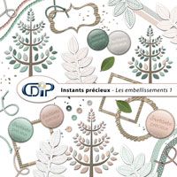 Embellissements du kit digital