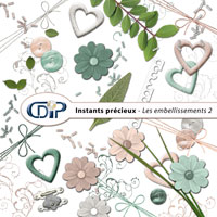 Embellissements du kit de scrapbooking