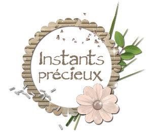Kit de scrapbooking Instants précieux