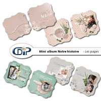 Mini-album - Quick pages