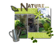 Jardin naturel avec son puits