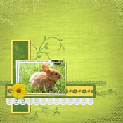 Lapin