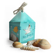 shells box