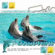 dolphins