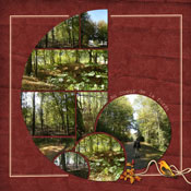 heart of forest