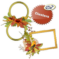 Clusters du kit