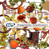 Embellissements du kit de scrapbooking