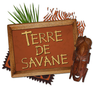 Kit de scrapbooking « Terre de savane »