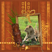 Le lion de la savane