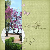le calme de la nature