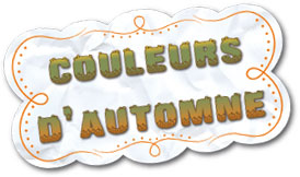 Kit 'Couleurs d'Automne'