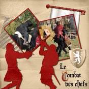 combat