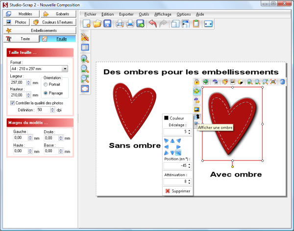 Des ombres aux embellissements