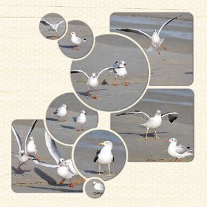 Imbrications de photos