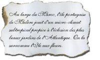 Texte simple