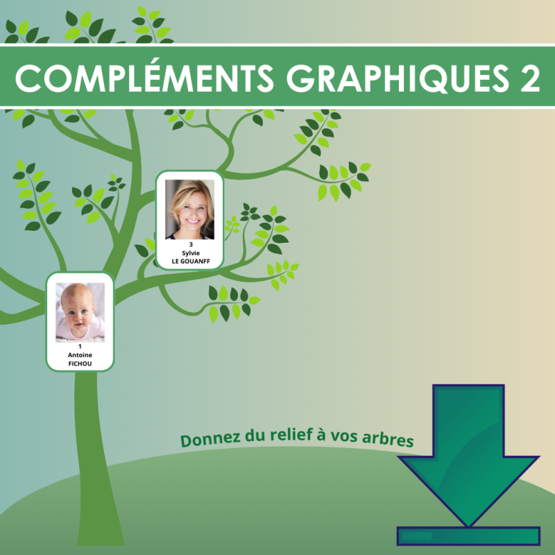 Pack de modèles d'arbres pour Généatique - Compléments Graphiques 2 en téléchargement Pack de modèles d'arbres pour Généatique - Compléments Graphiques 2 en téléchargement