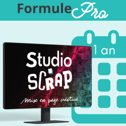 Studio-Scrap - Pro - 1 an