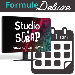 Studio-Scrap 9 - Deluxe - 1...