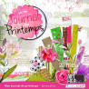 cover-01-journal-de-printemps-preview