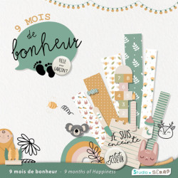 cover-9-mois-de-bonheur-preview