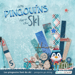 cover-les-pingouins-font-du-ski-preview