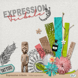 cover-Expression-tribale-preview
