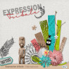 cover-Expression-tribale-preview