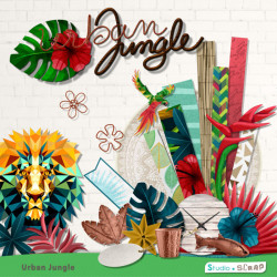 cover-kit-urban-jungle-preview
