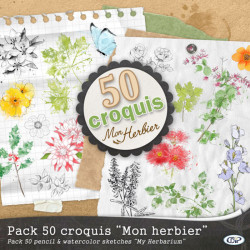 cover-patchwork-50-croquis-Mon-herbier