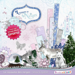 cover-kit-le-royaume-des-neiges-patchwork-fr