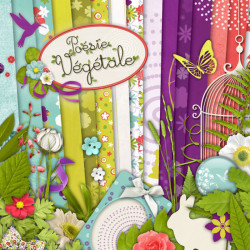 cover-kit-poesie-vegetale-patchwork