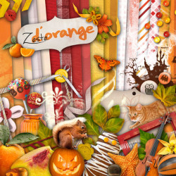 cover-kit-digital-scrapbooking-zeste-d-orange-web
