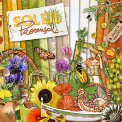 cover-kit-digital-scrapbooking-soleil-provencal-web