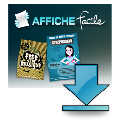 cover-G2011-afffacile-telec_0