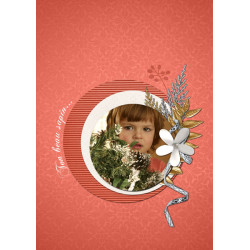 Kit « Noël enchanté »