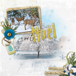 Kit « Etoile de Noël  »
