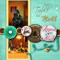 Kit « Etoile de Noël  »