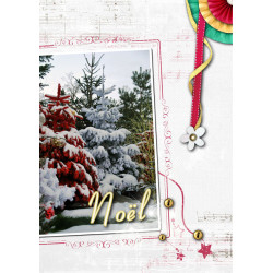 Kit « Etoile de Noël  »